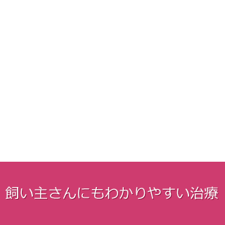 飼い主さんにもわかりやすい治療